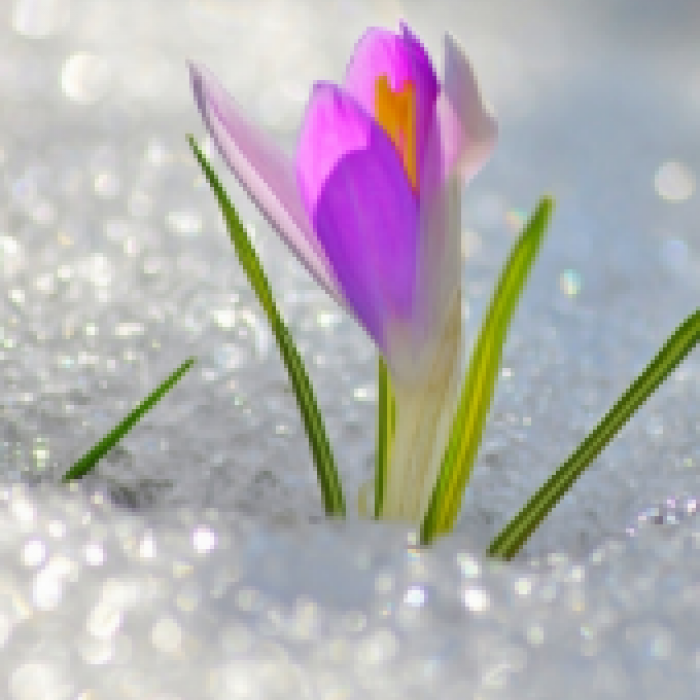 Уважаемые покупатели!