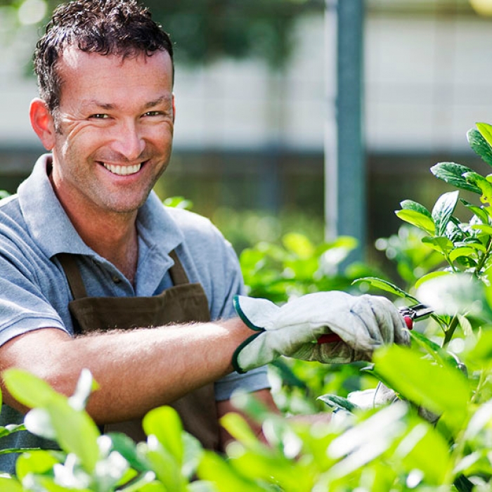 В команду садового центра ЛЕТО требуется пополнение