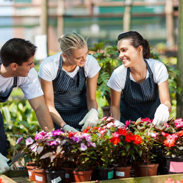 Внимание! Внимание!