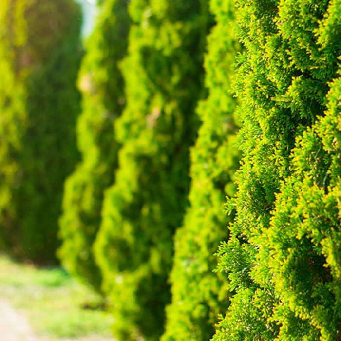 А у нас скидки!!!