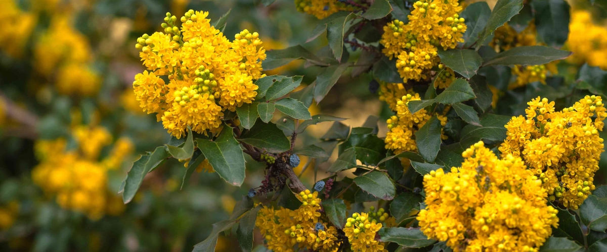 Летняя скидка 30%