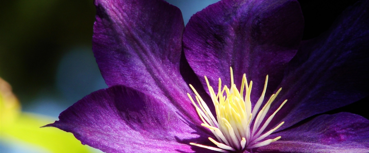 Скидки сентября