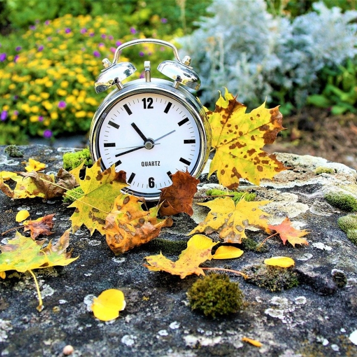 Внимание! Изменение графика работы садового центра.