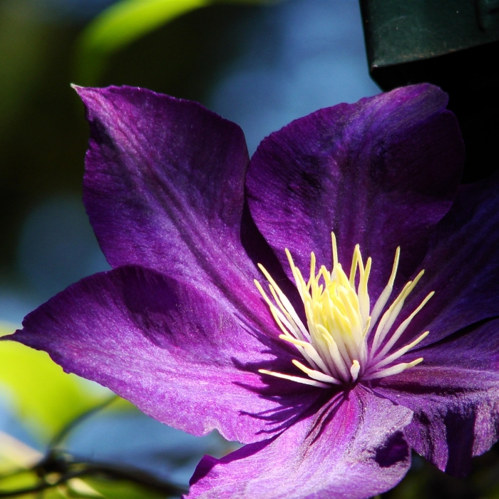 Скидки сентября