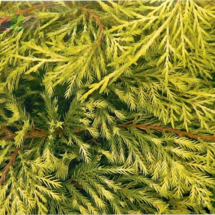 Новинки ассортимента.