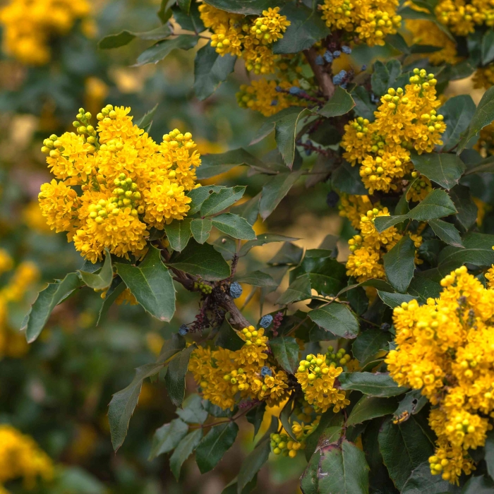 Летняя скидка 30%