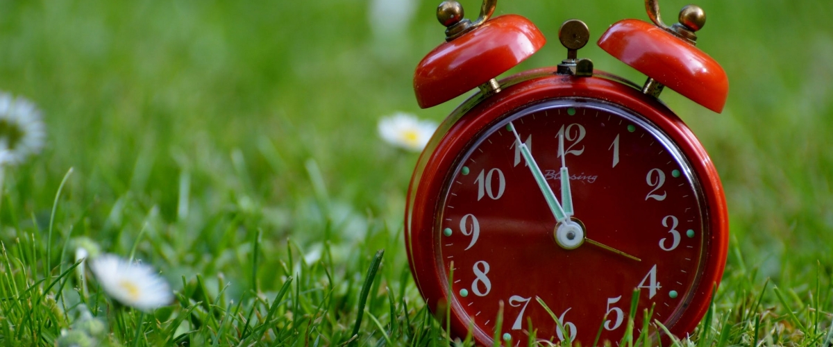 Внимание! Изменение графика работы садового центра.